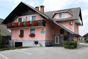 Отель Rooms & Apartments Jana, Церклье